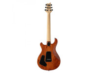 PRS SE Swamp Ash Special VS PRS SE Swamp Ash Special VS